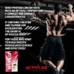 گینر مس اکتیولب 5 کیلوگرم ACTIVE LAB MASS UP - Image 2